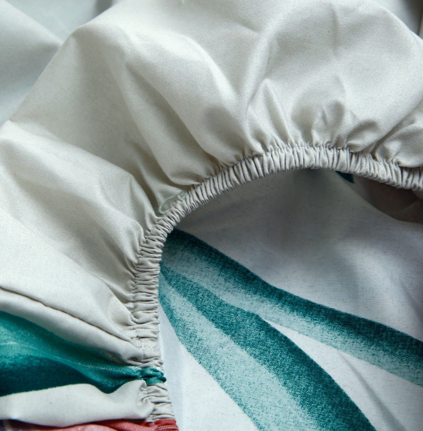 Fitted Bed Sheet-Tulip Fitted Sheets Apricot