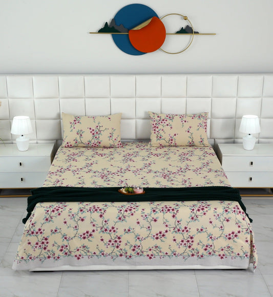 3 PCs Double Bed Sheet-DB-244 Bed Sheets Apricot