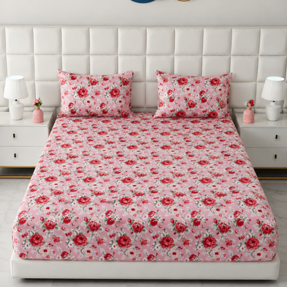 Fitted Bed Sheet- FT0047 Fitted Sheets Apricot