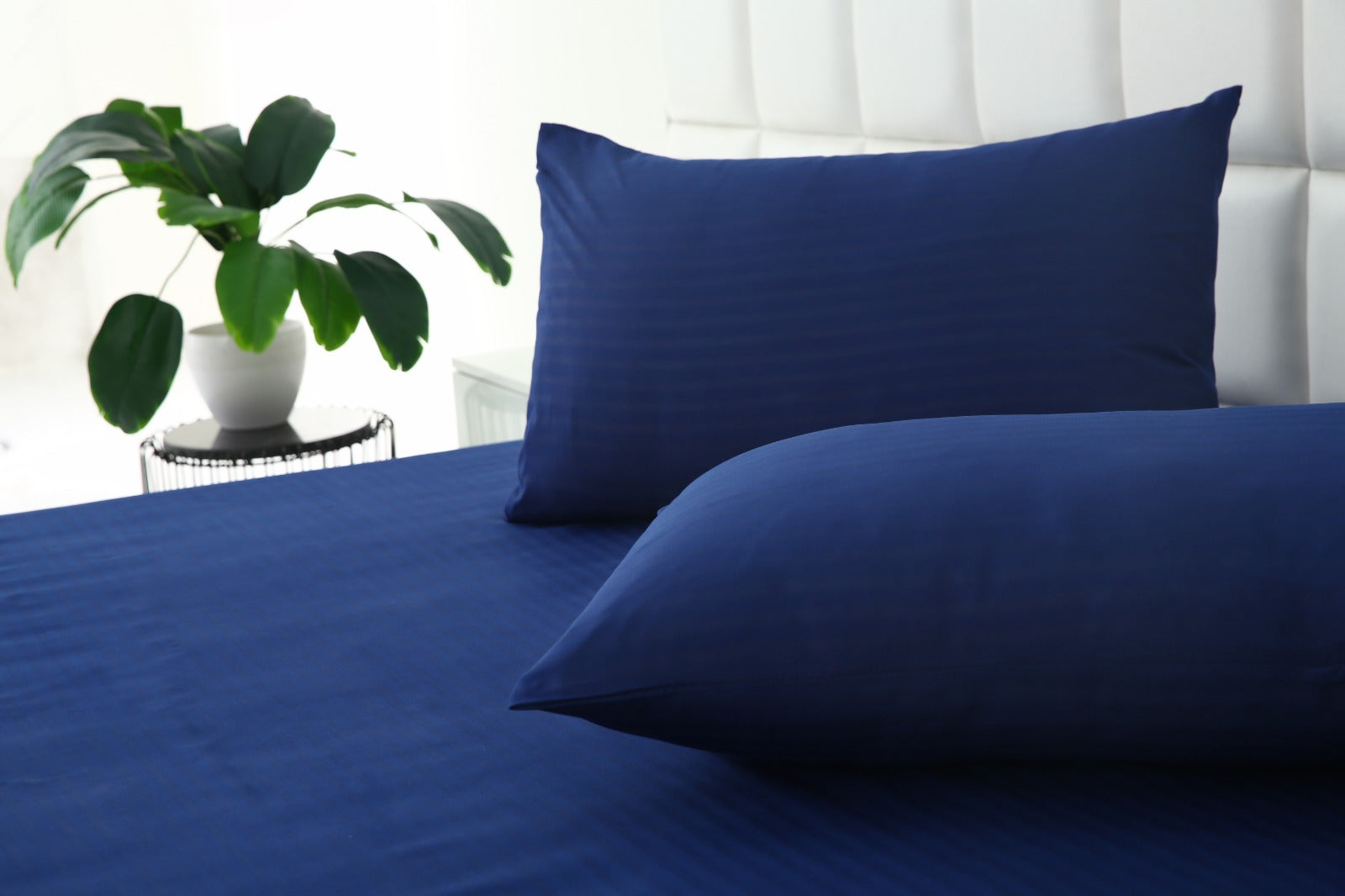 Quilted Waterproof Mattress Protector-Navy Blue Protectors Apricot