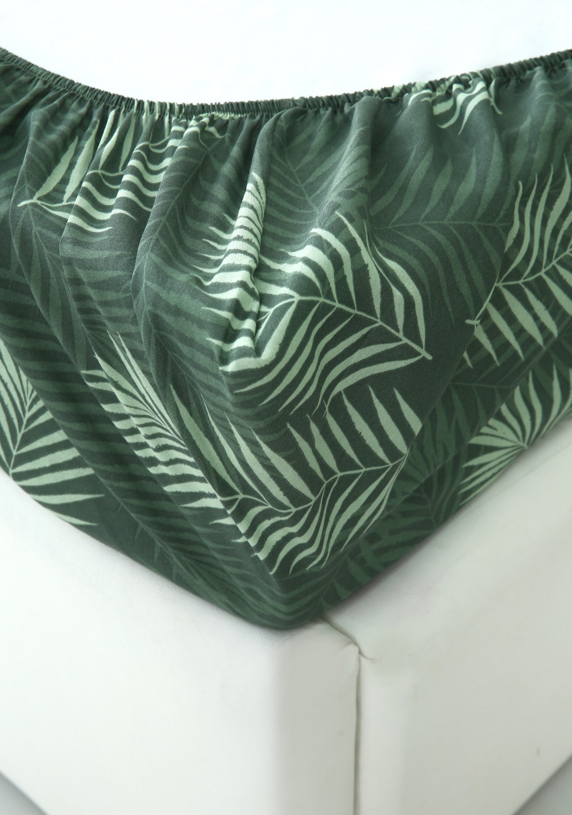 Fitted Bed Sheet-Emerald Feathers Fitted Sheets Apricot