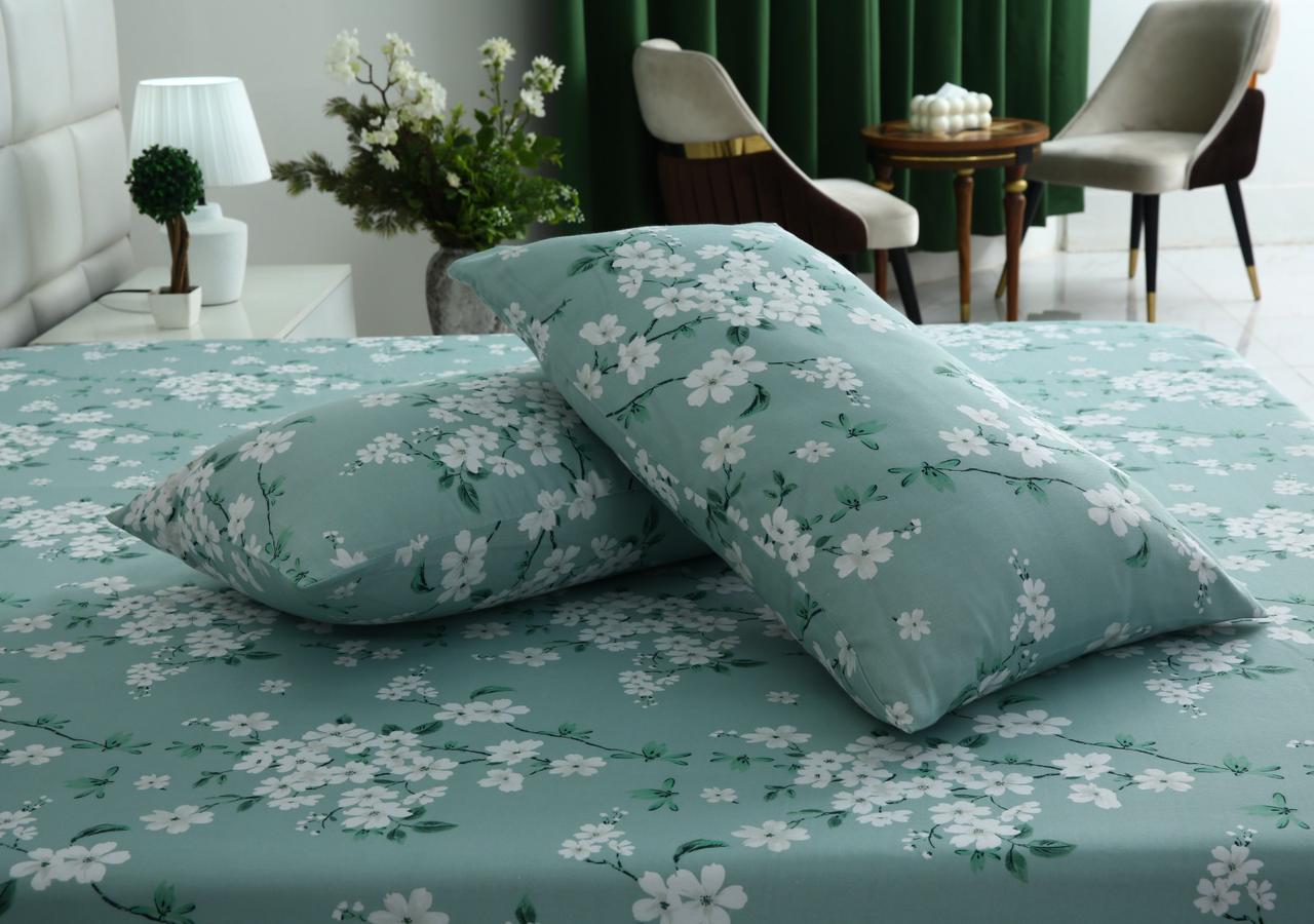 3 PCs Double Bed Sheet-DB-255 Bed Sheets Apricot