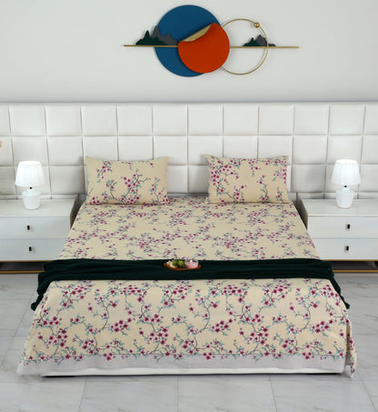 3 PCs Double Bed Sheet-DB-244 Bed Sheets Apricot