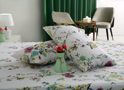 3 PCs Double Bed Sheet-DB257 Bed Sheets Apricot