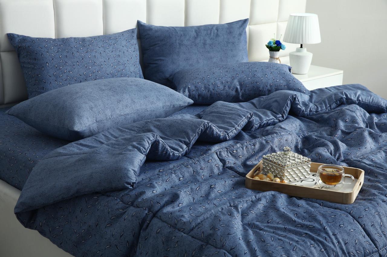 6 PCs Summer Comforter Set-Blue Feathers Bed Spread Apricot