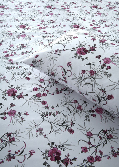 3 PCs Double Bed Sheet-Plum Petals BED SHEET Apricot