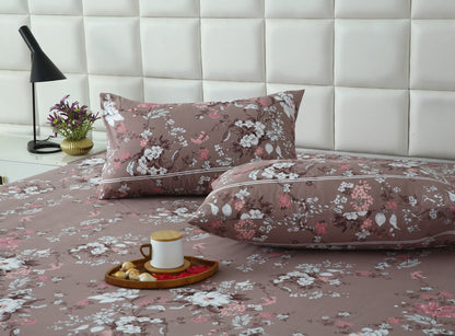 3 PCs Double Bed Sheet With Same Packing- White Nector Bed Sheets Apricot