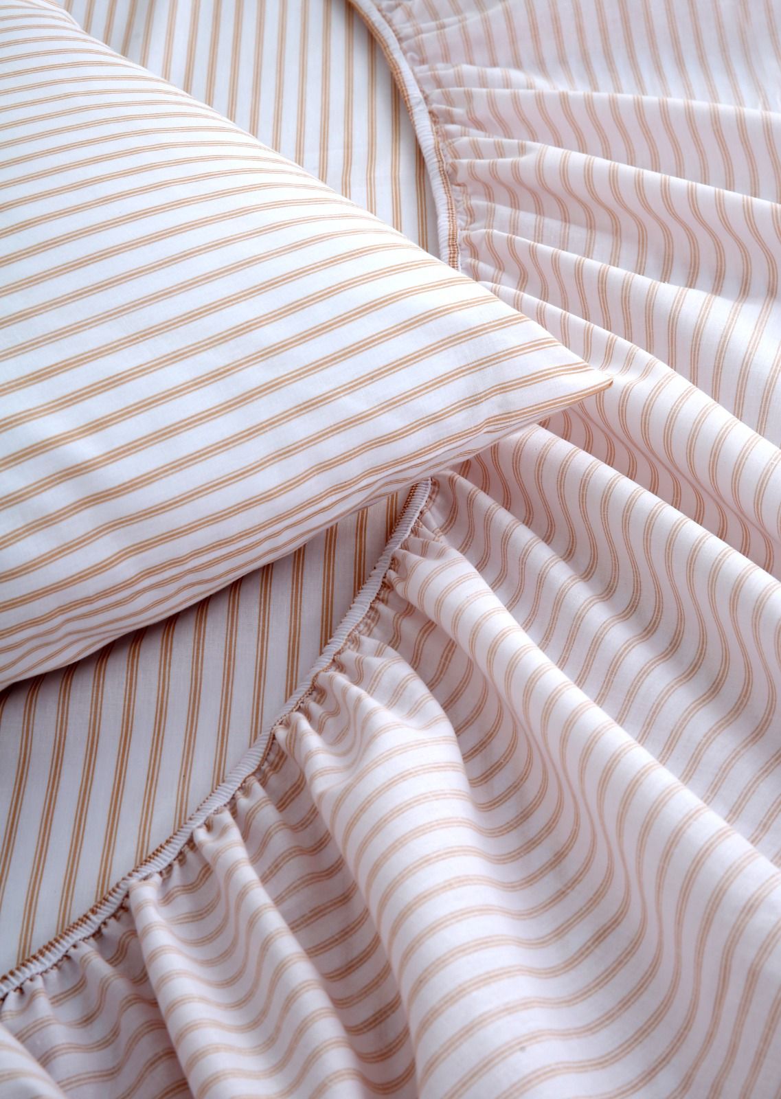 Fitted Bed Sheet- PFT012 Fitted Sheets Apricot