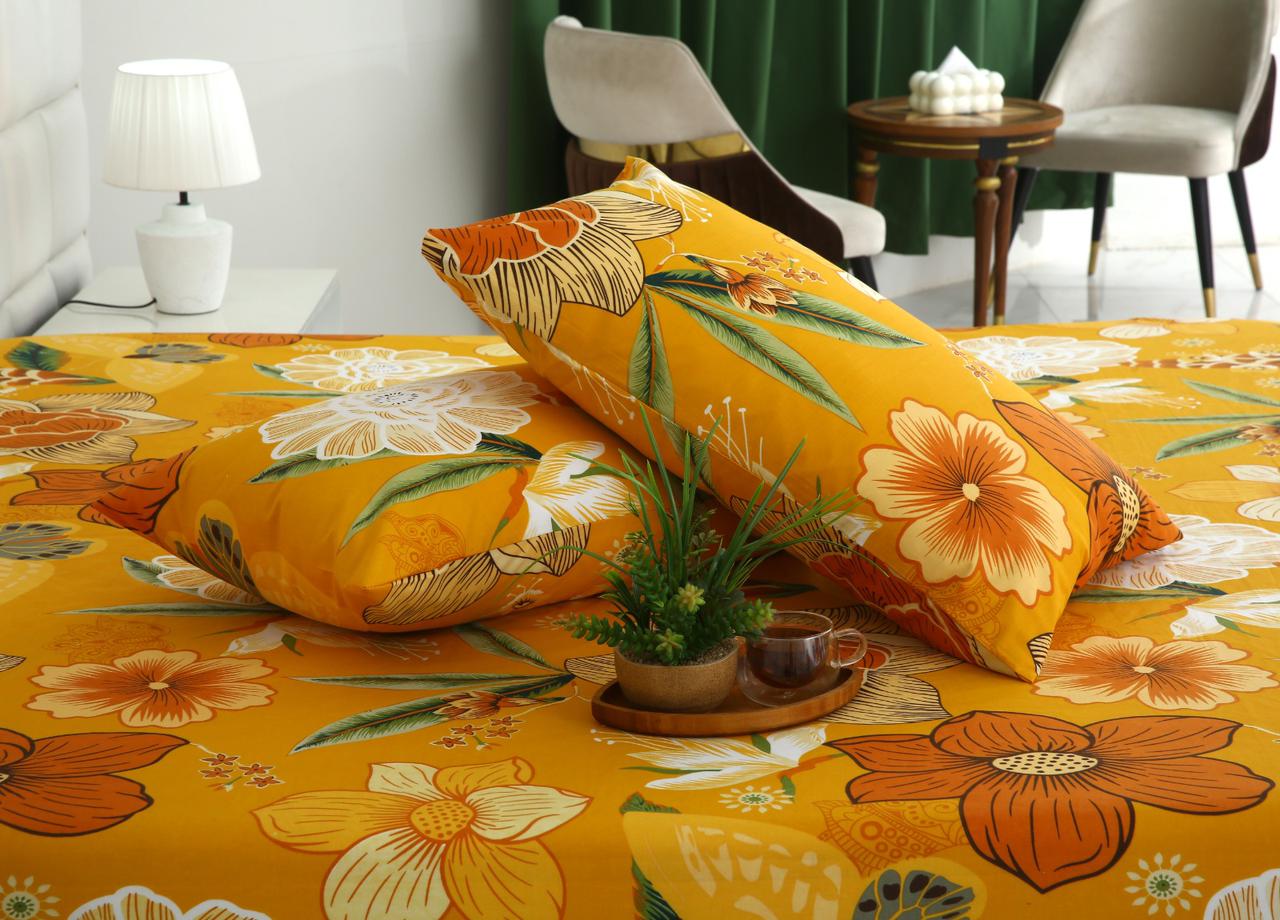 Fitted Bed Sheet- PFT021 Fitted Sheets Apricot