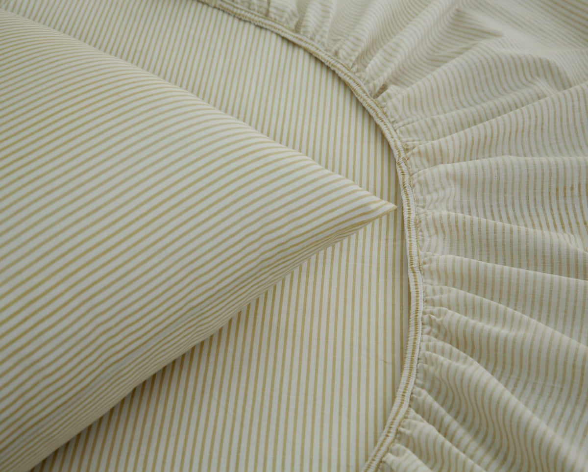 Fitted Bed Sheet- PFT0291 Fitted Sheets Apricot