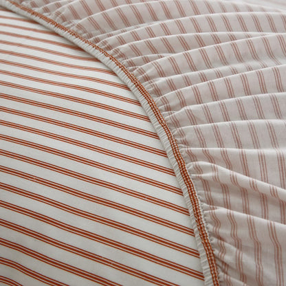 Fitted Bed Sheet- PFT0293 Fitted Sheets Apricot