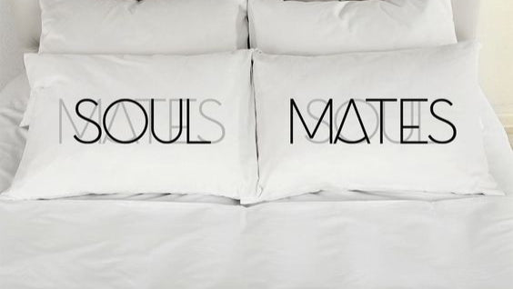 2 PCs Digital Printed Couple Pillow-SOUL/MATES cushions Apricot
